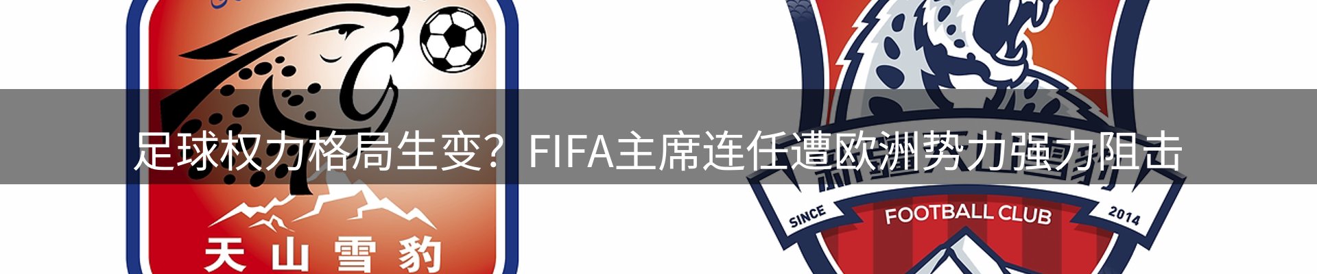 平台资讯