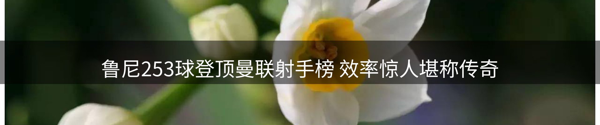 平台资讯